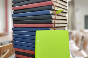 沉潜厚积 书海从遊——bw必威西汉姆联官网艺术评论卓越人才培养工程2025-2026学年寒假读书笔记展